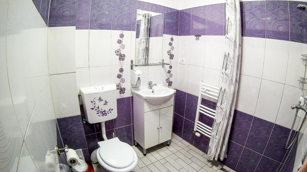 Nice & Cozy Apartments Timisoara Exterior foto