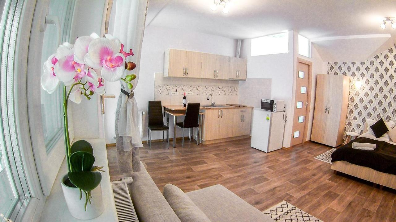 Nice & Cozy Apartments Timisoara Exterior foto