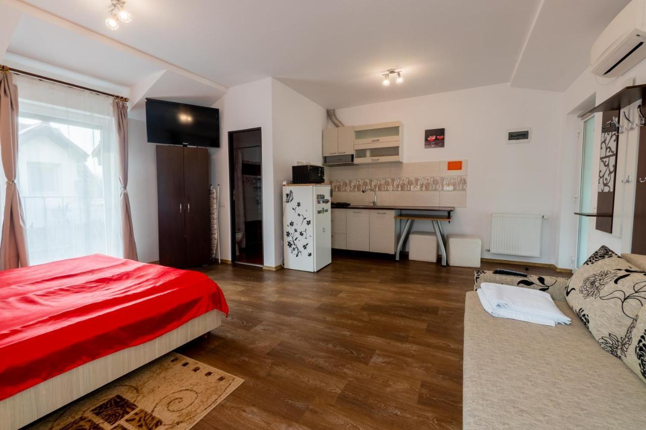 Nice & Cozy Apartments Timisoara Exterior foto