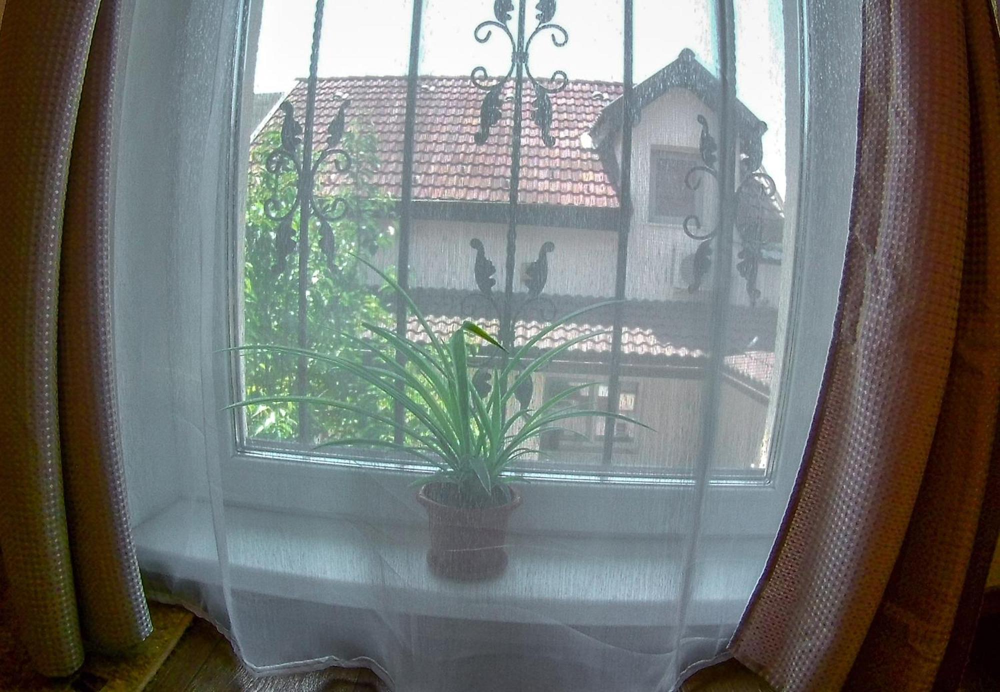 Nice & Cozy Apartments Timisoara Habitación foto